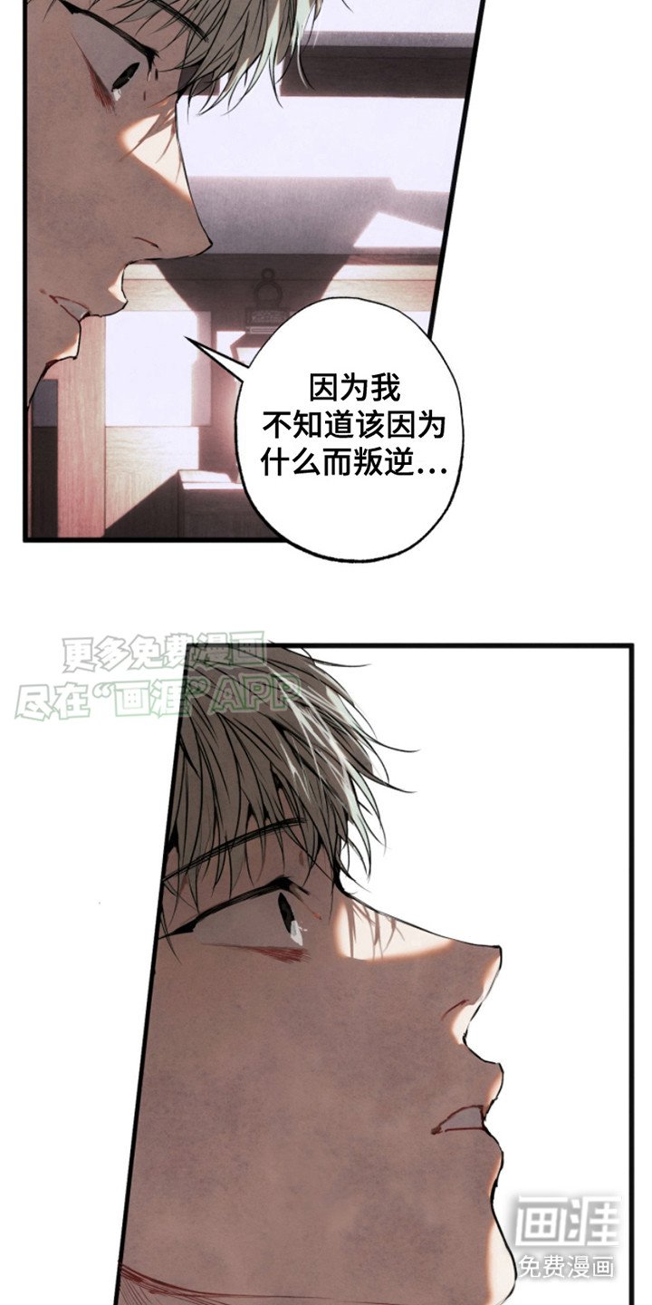 第6章： 打量