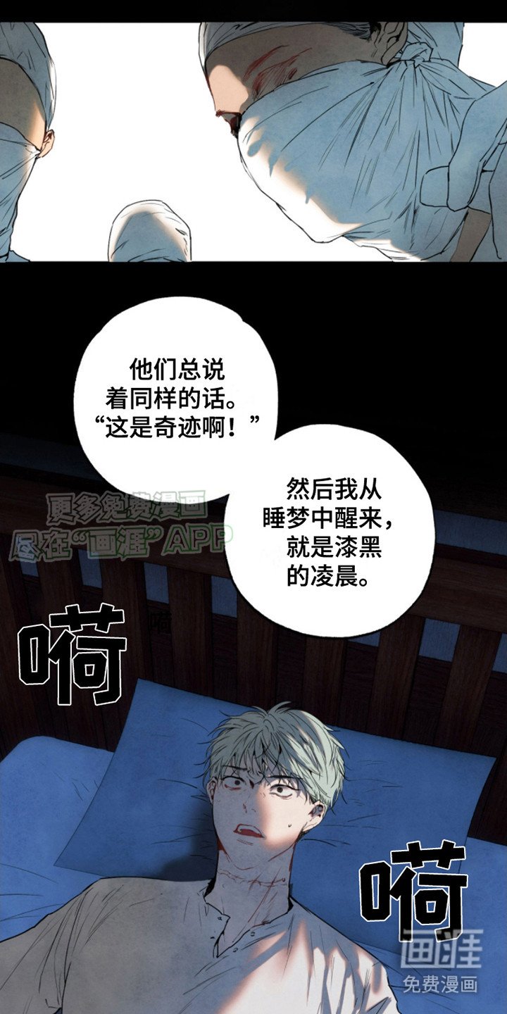 第6章： 打量