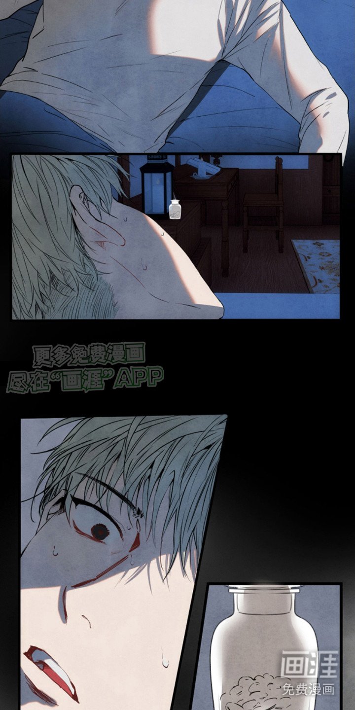 第6章： 打量