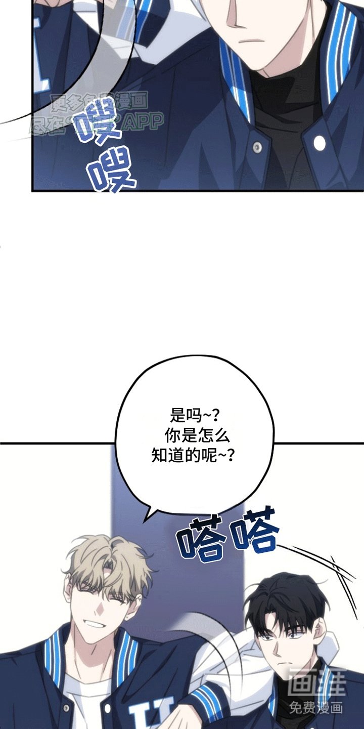 第4章：小组成员