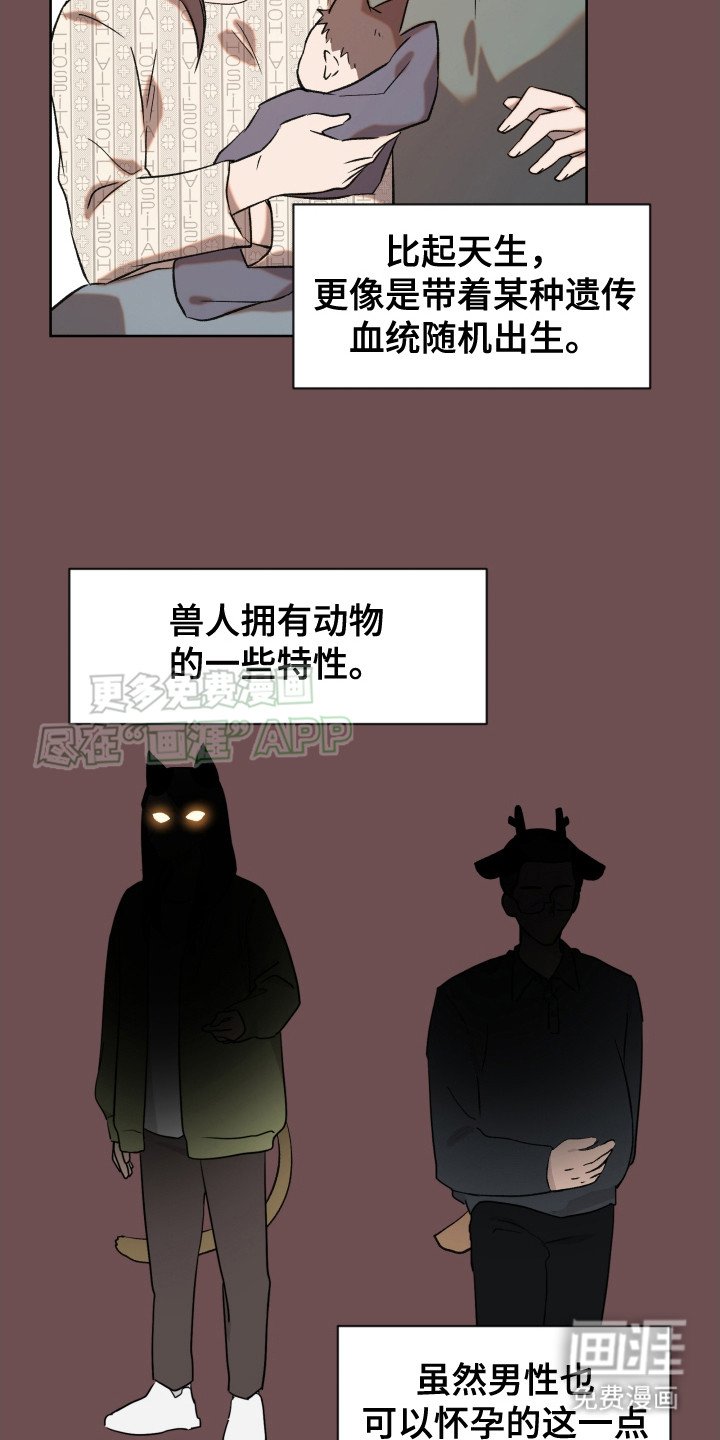 第2章：兽人法案