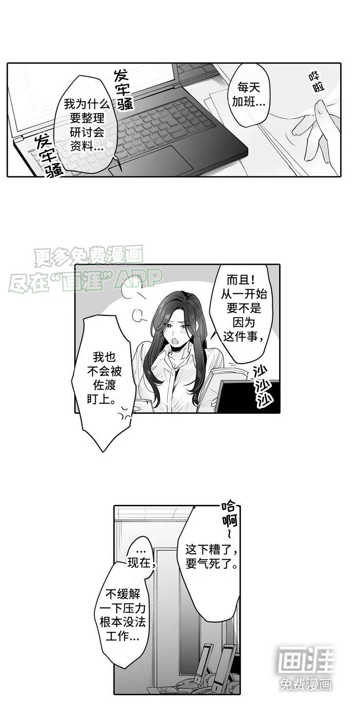 第3章：被看见