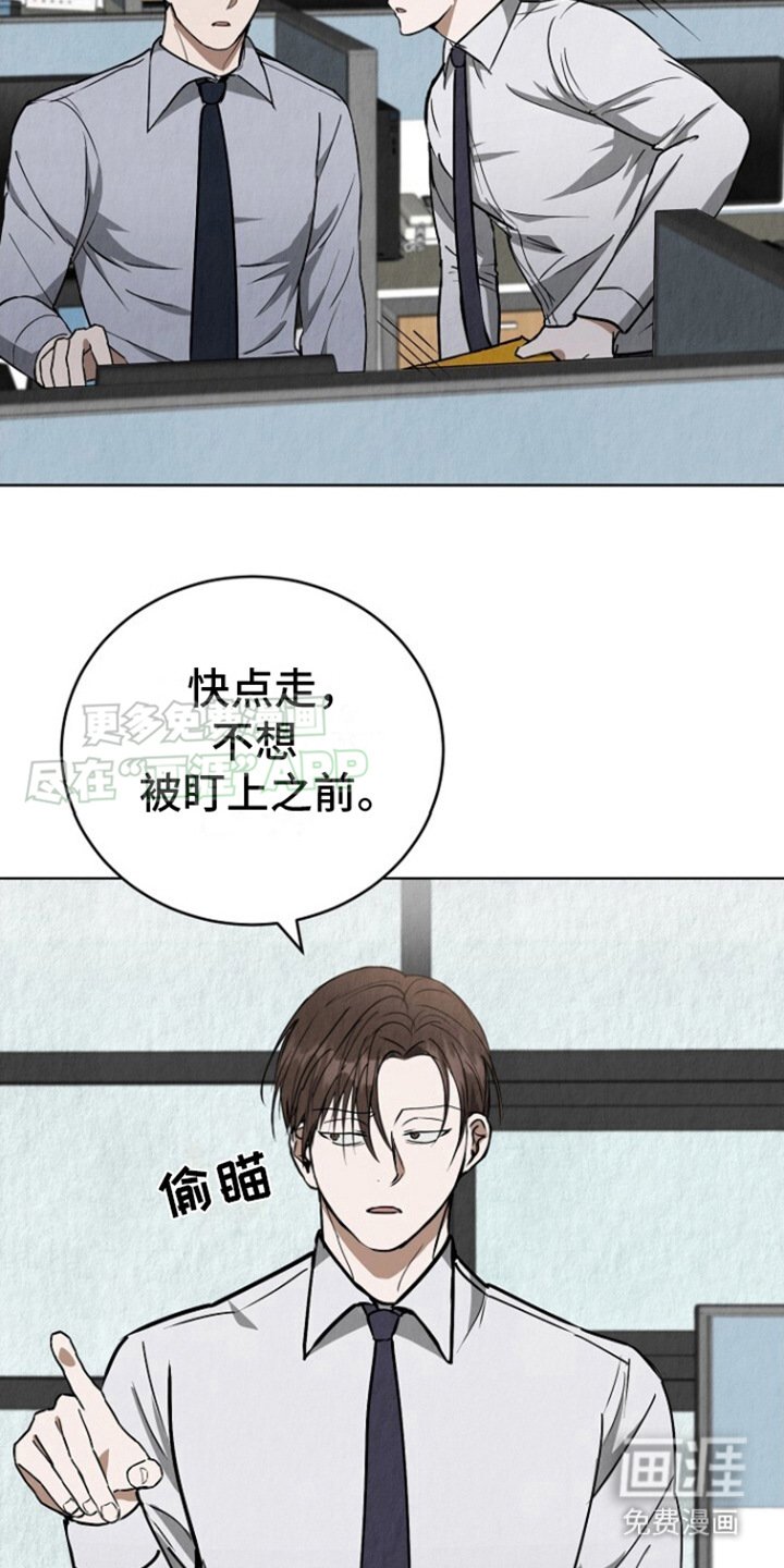 第13章：照片