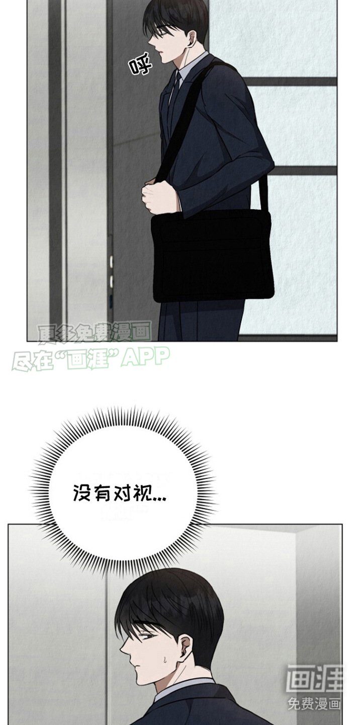 第13章：照片