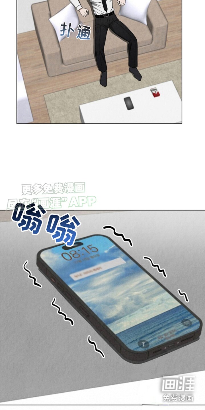 第17章：电话