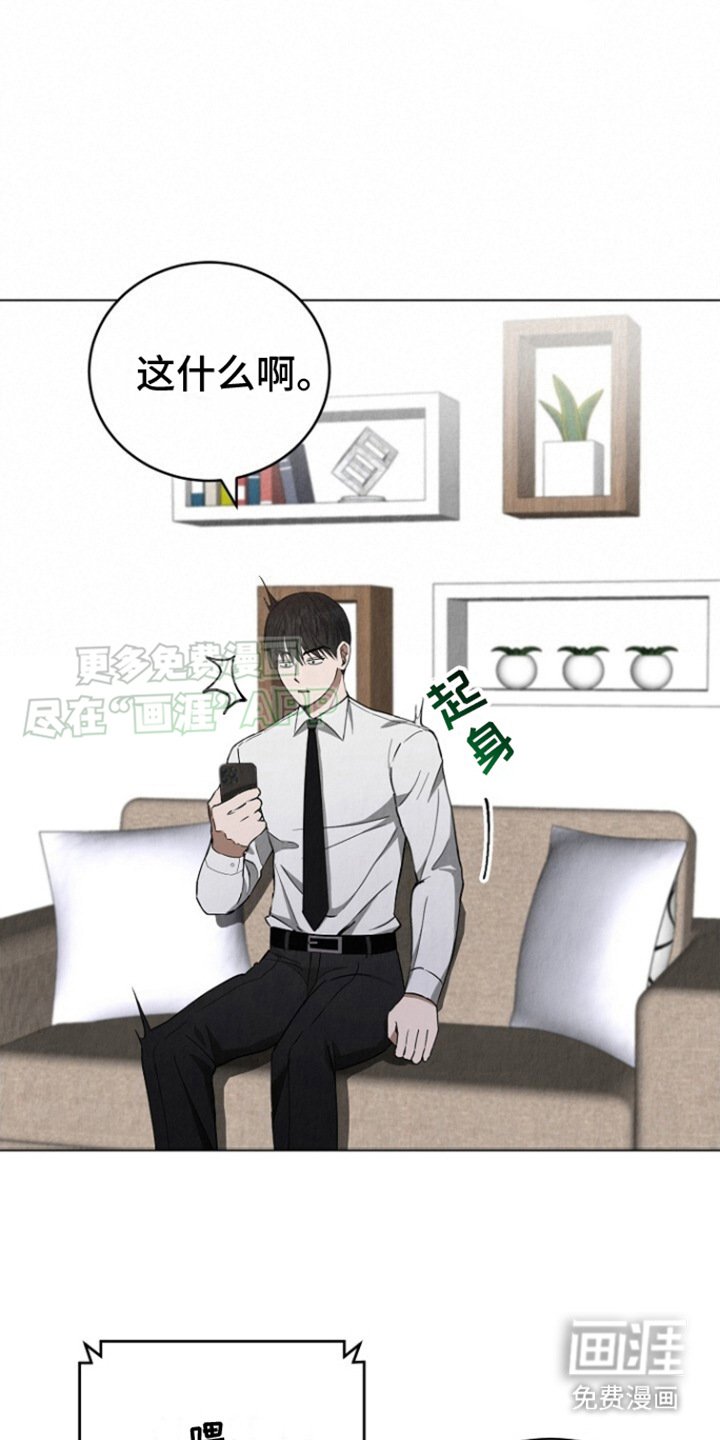第17章：电话