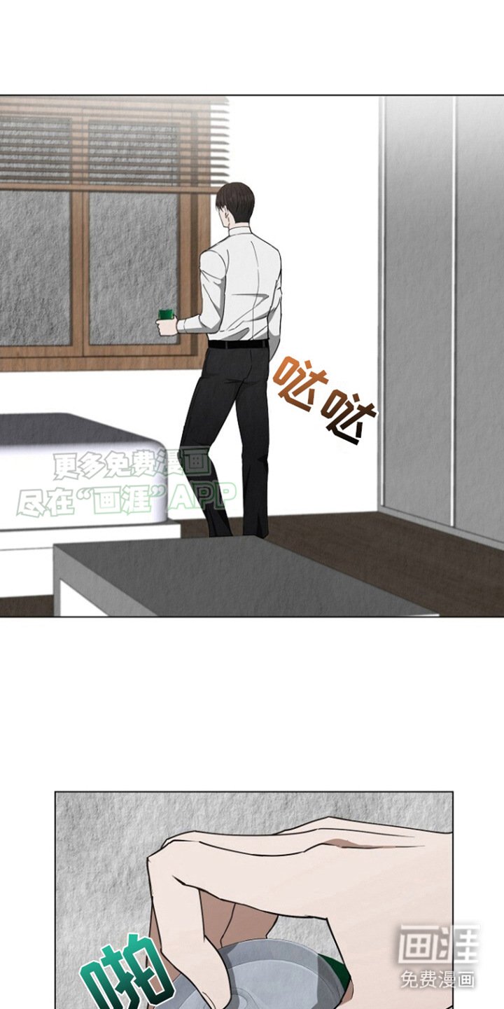 第17章：电话