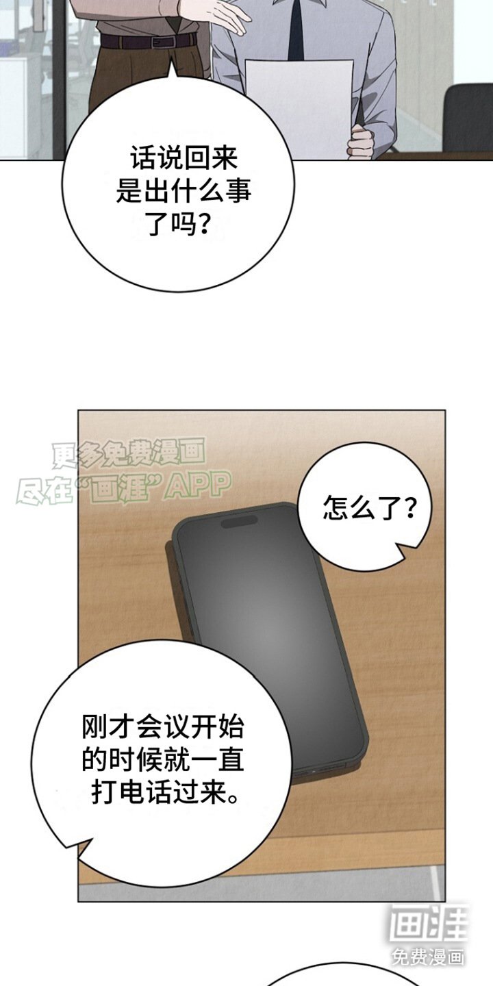 第17章：电话