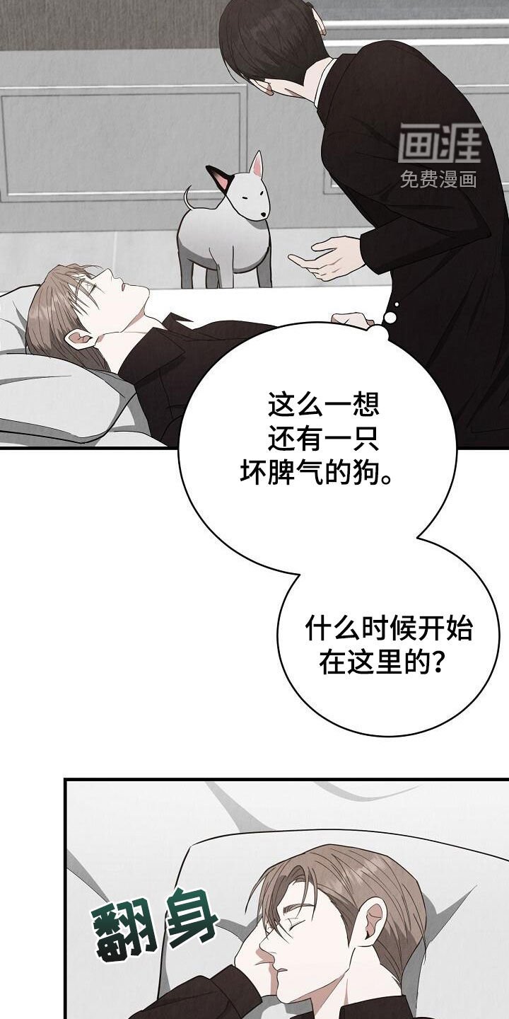第40章：睡着了