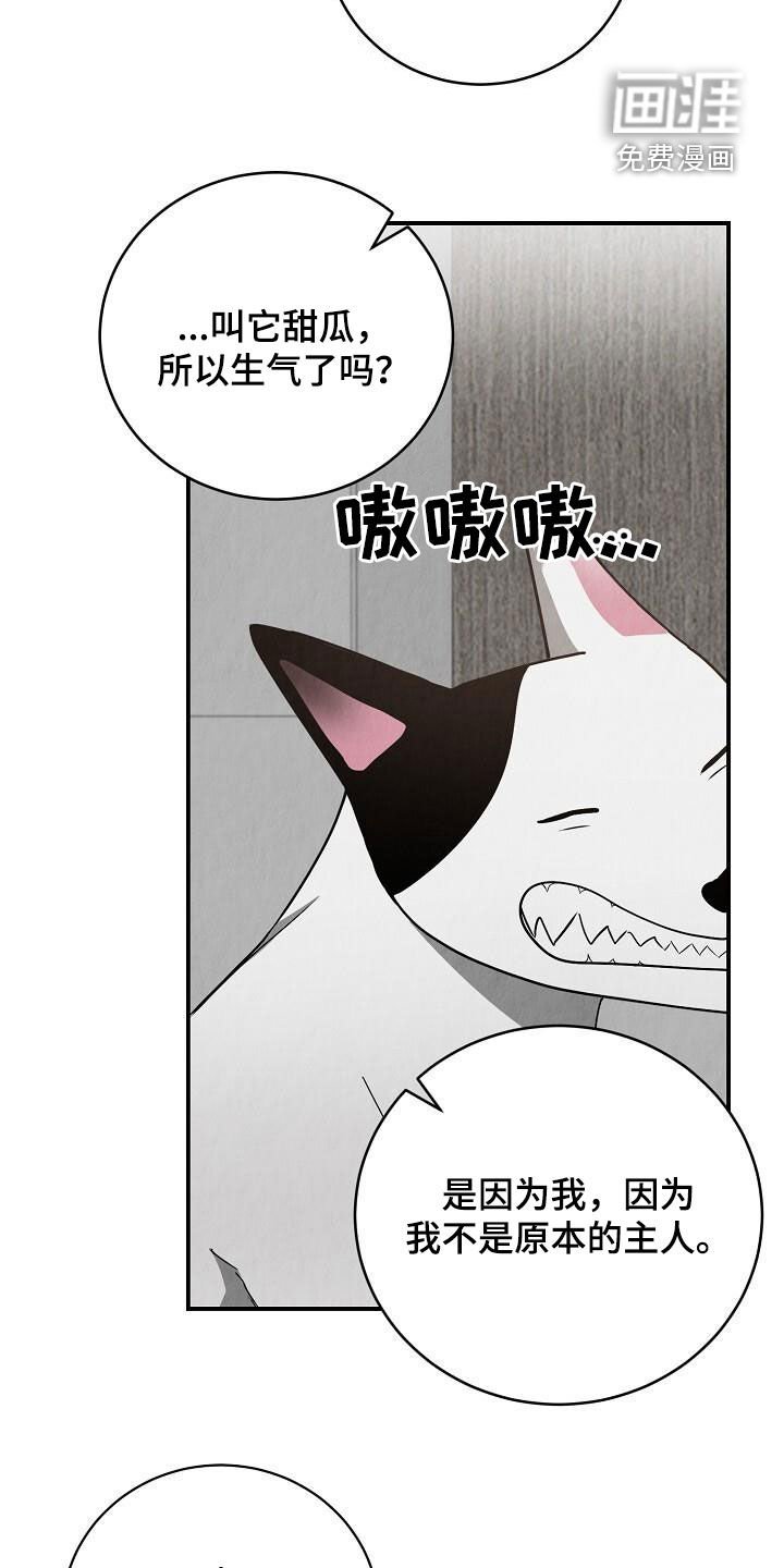 第44章：脸红