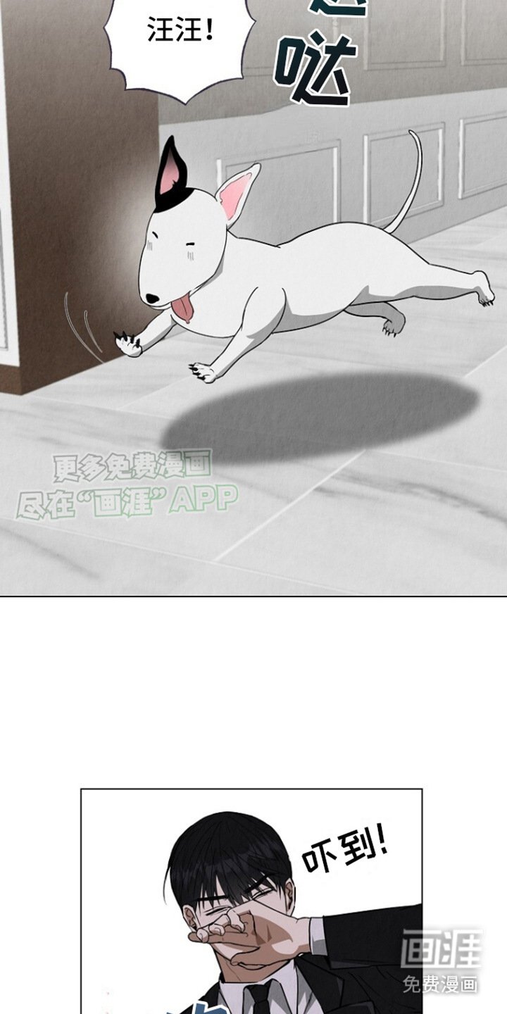第5章：很单纯