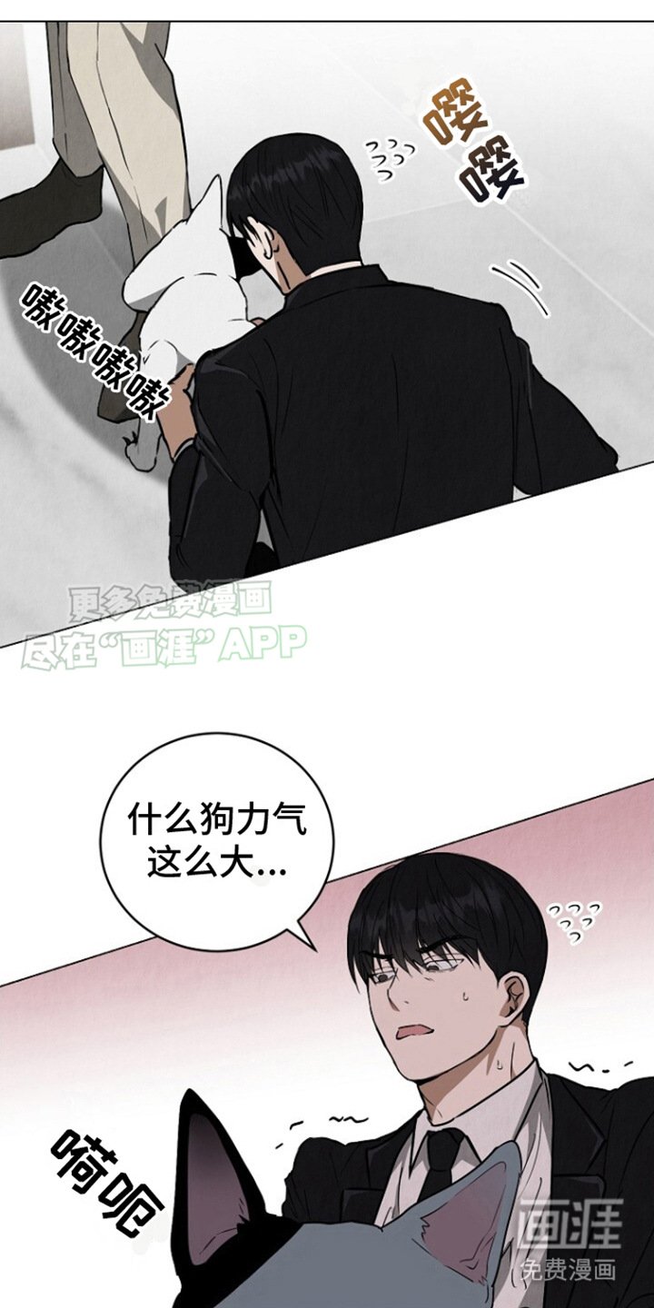 第5章：很单纯