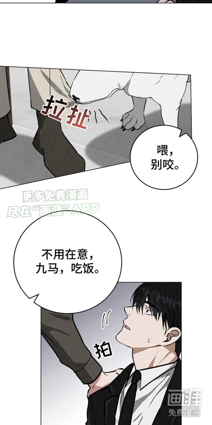第5章：很单纯