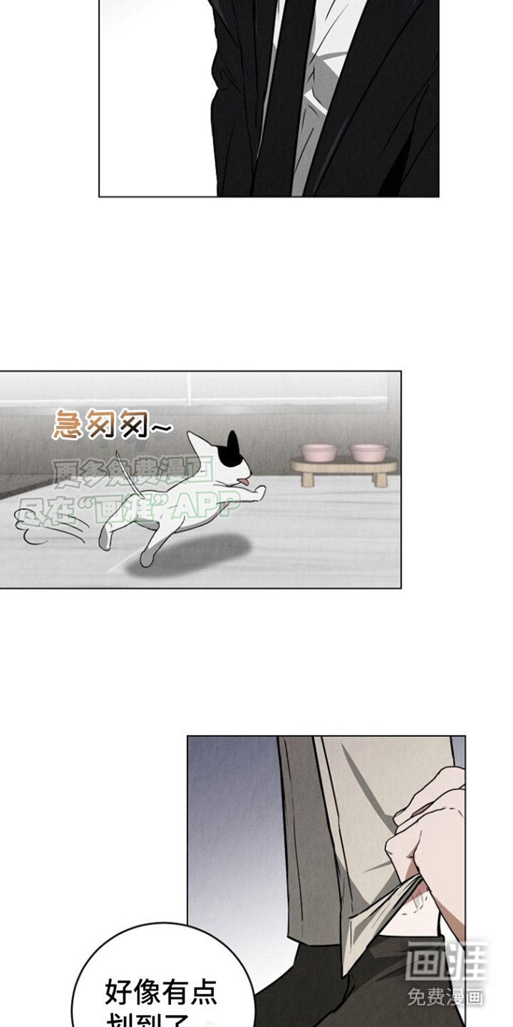 第5章：很单纯