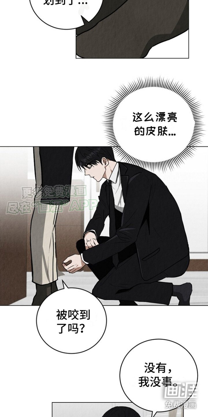 第5章：很单纯