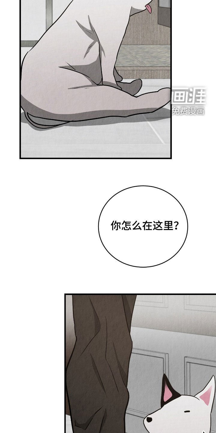 第61章：买菜
