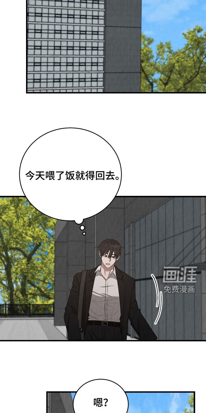 第78章：独处的时间