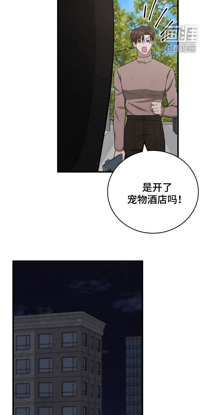 第78章：独处的时间