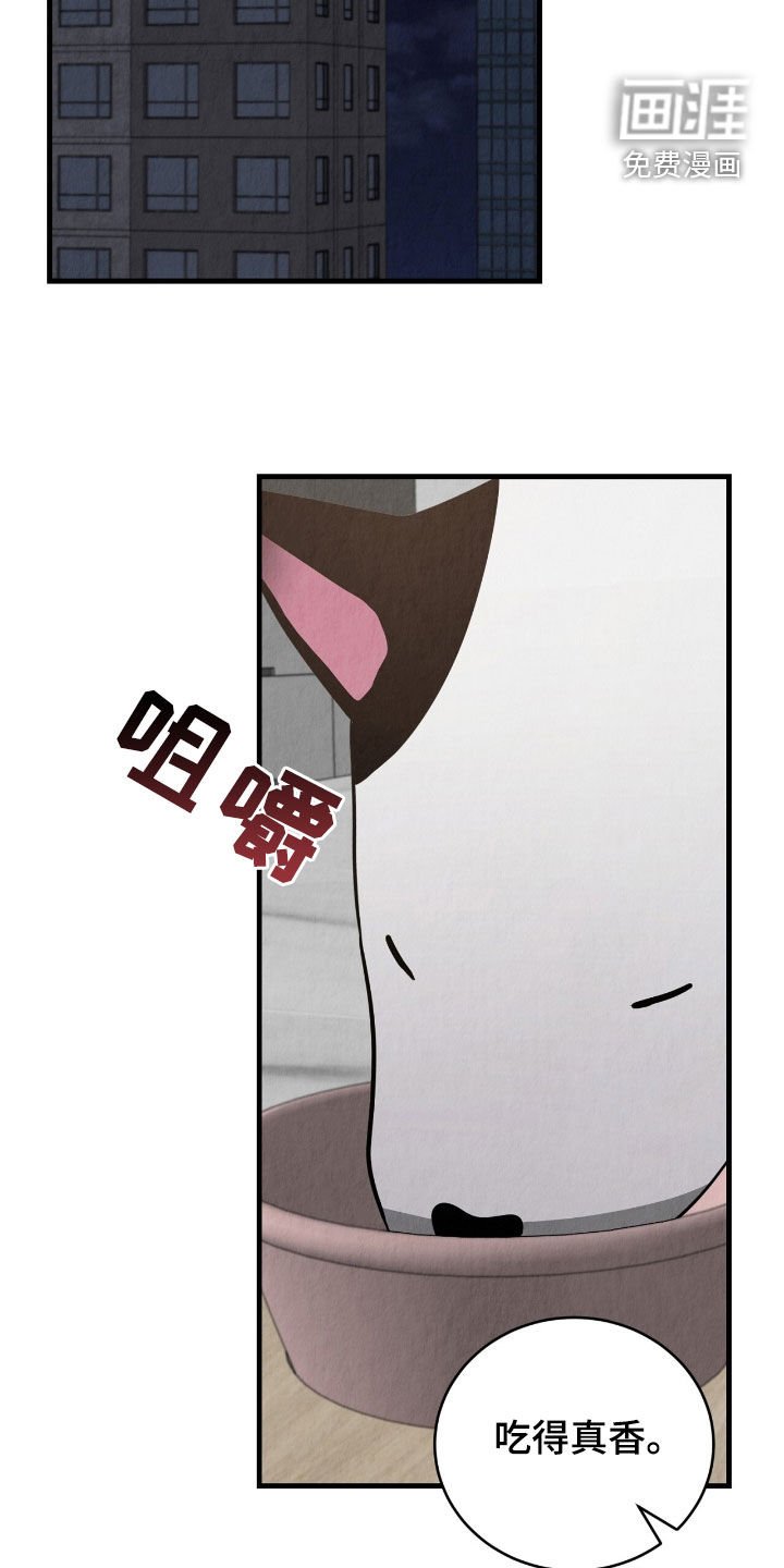 第78章：独处的时间