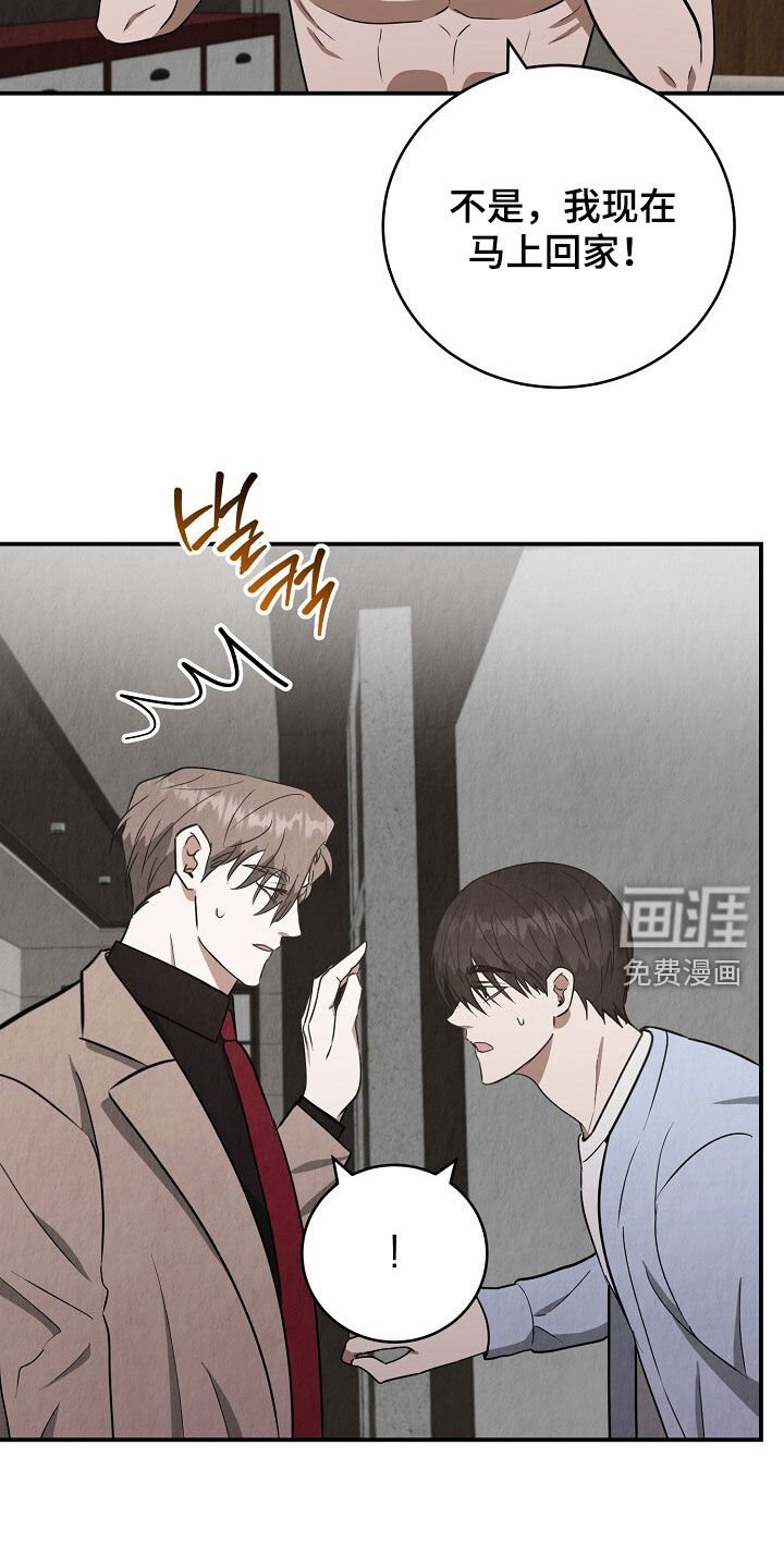 第86章：从不后悔