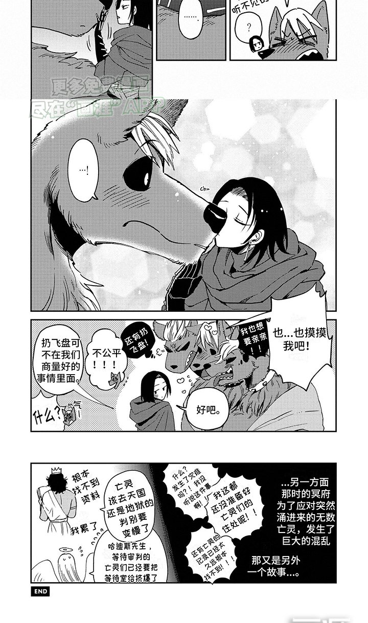 第4章：特许