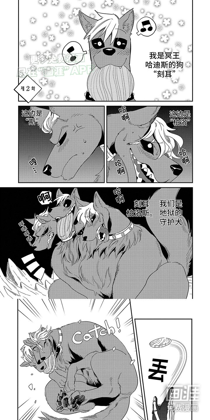 第4章：特许