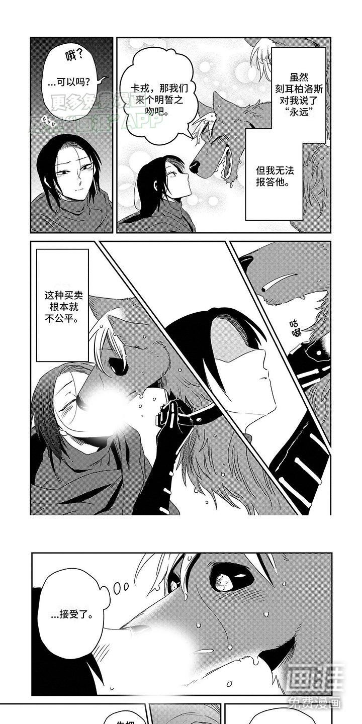 第8章：真实的自己