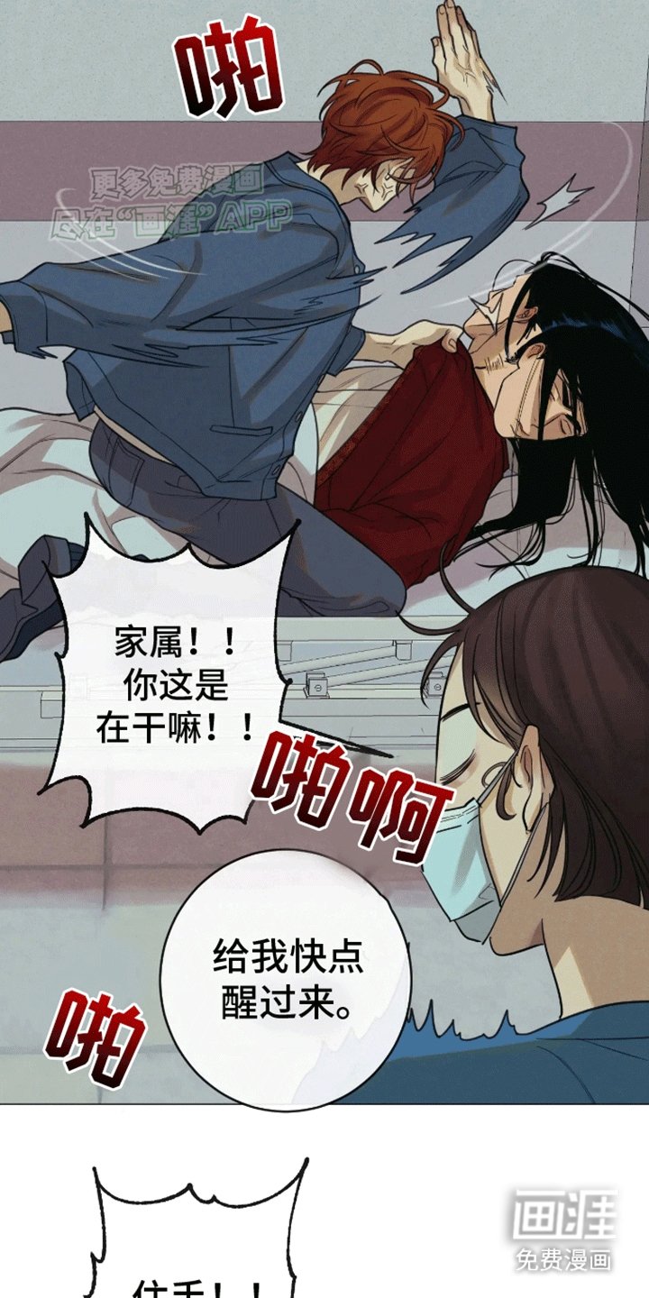 第13章：带回家