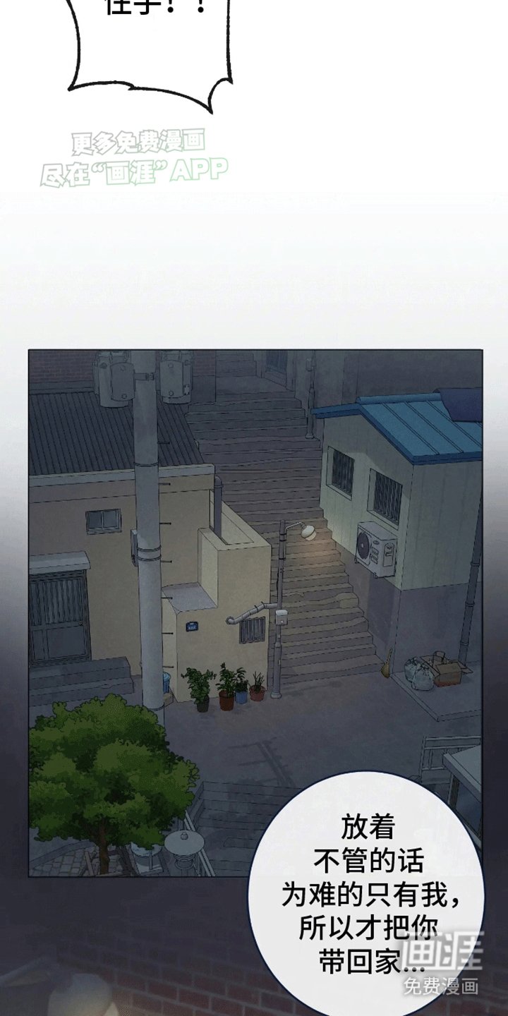 第13章：带回家