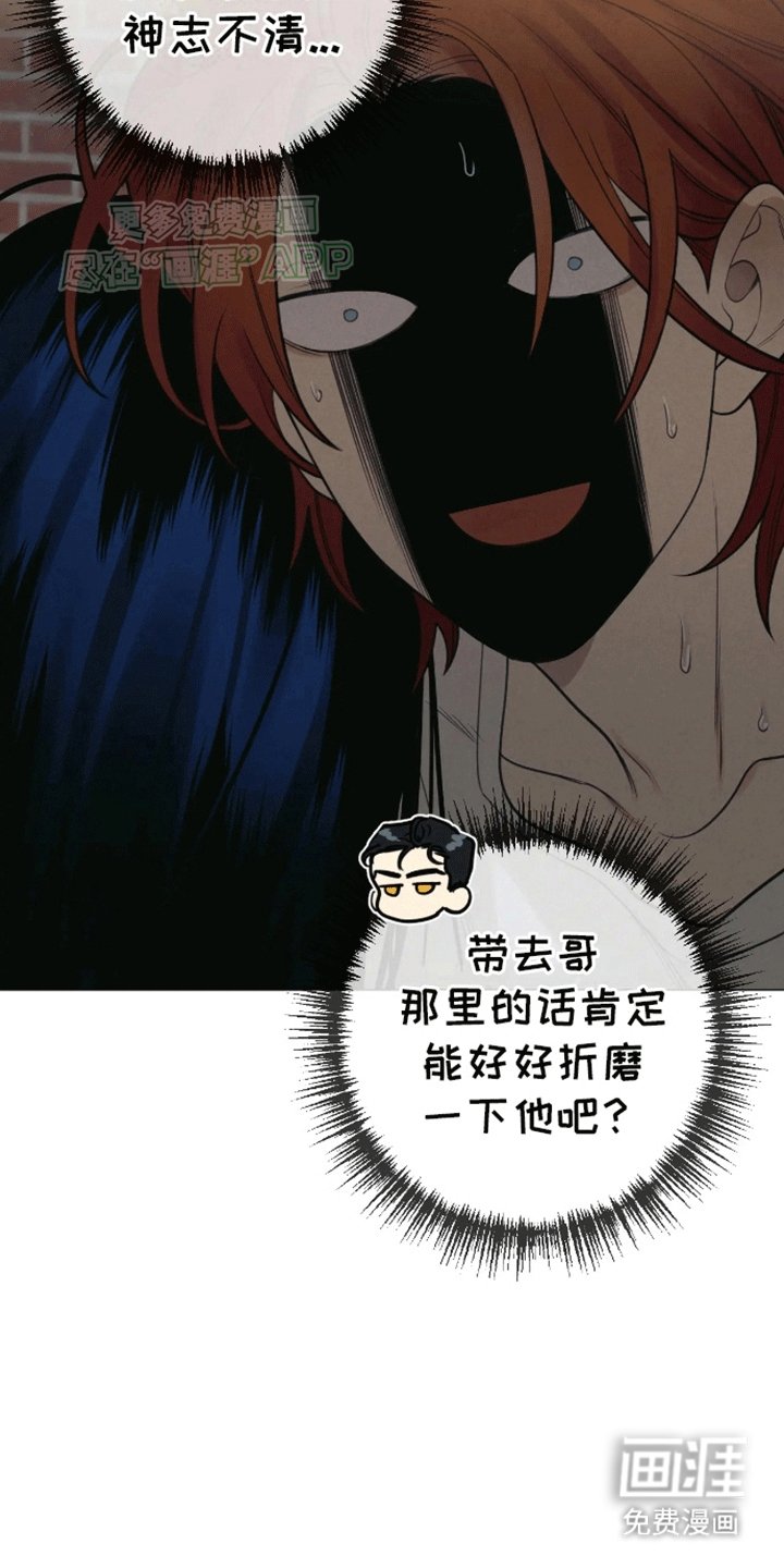 第13章：带回家