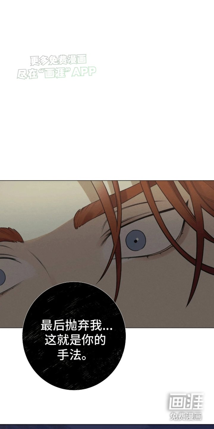 第13章：带回家