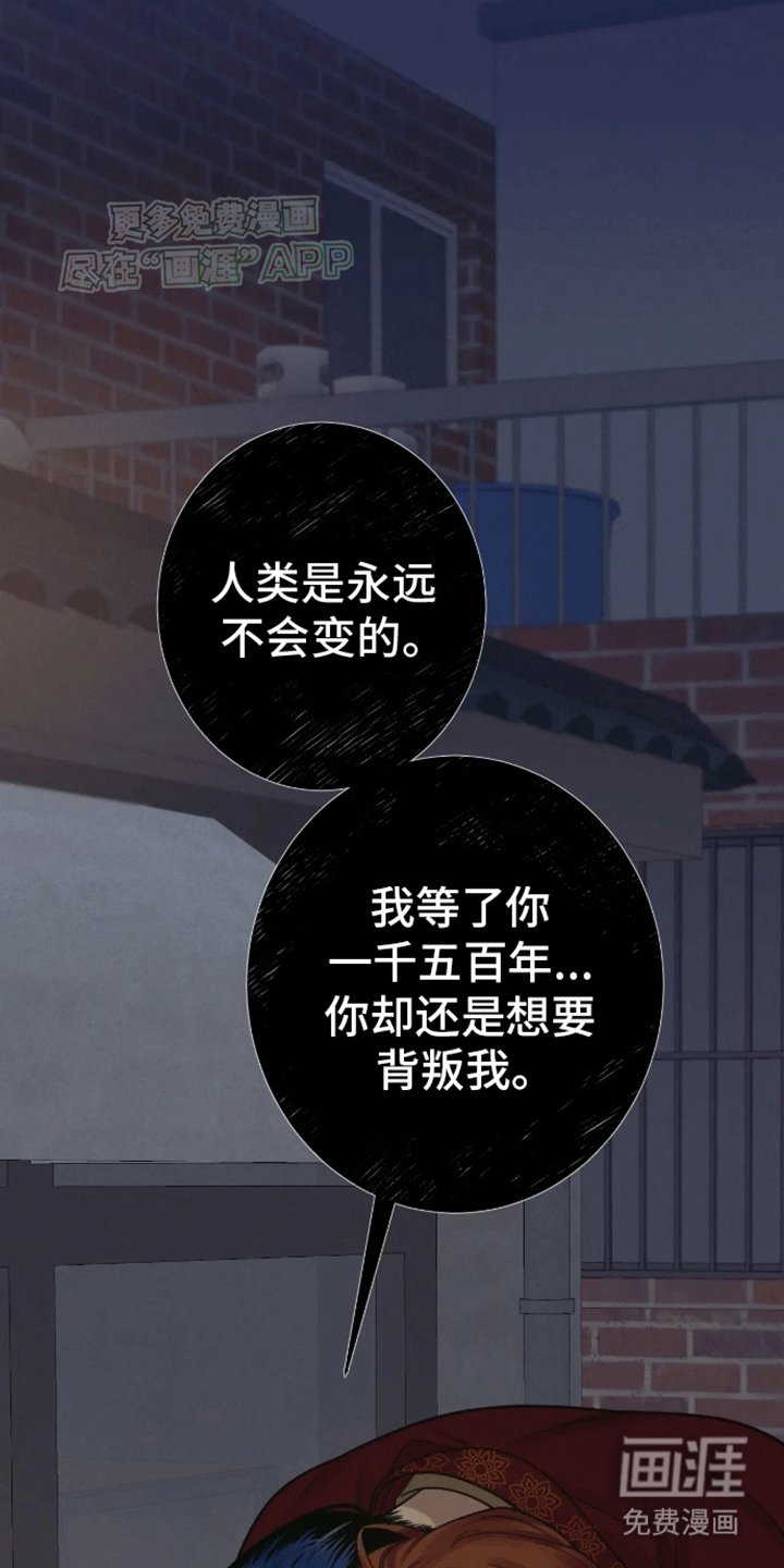 第13章：带回家