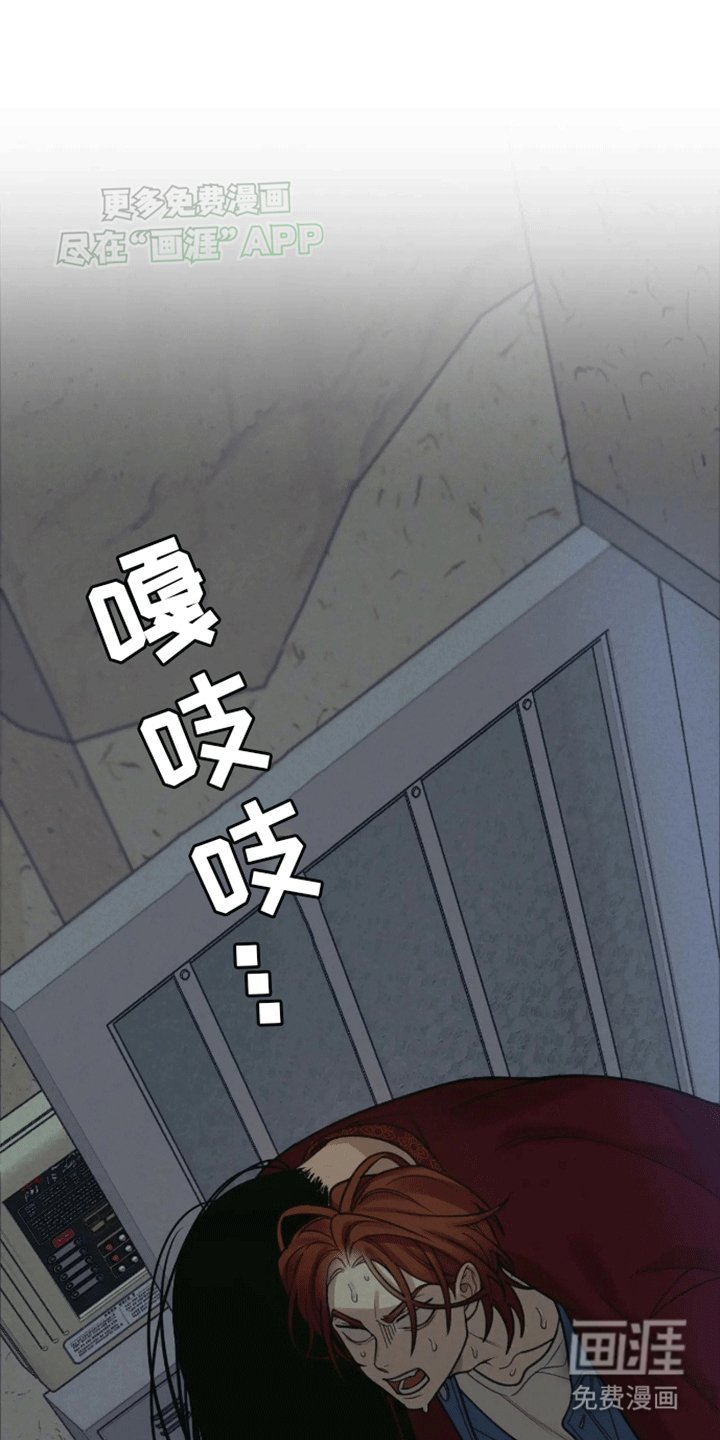 第13章：带回家