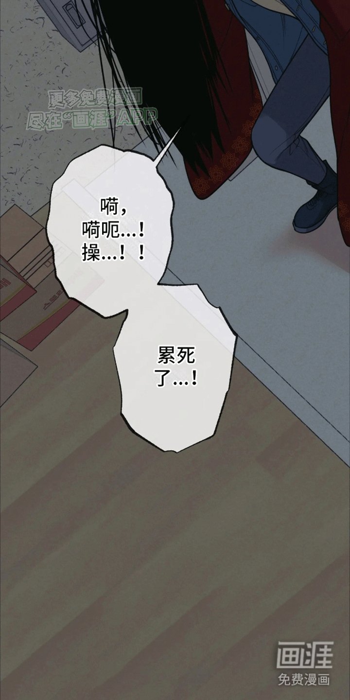 第13章：带回家
