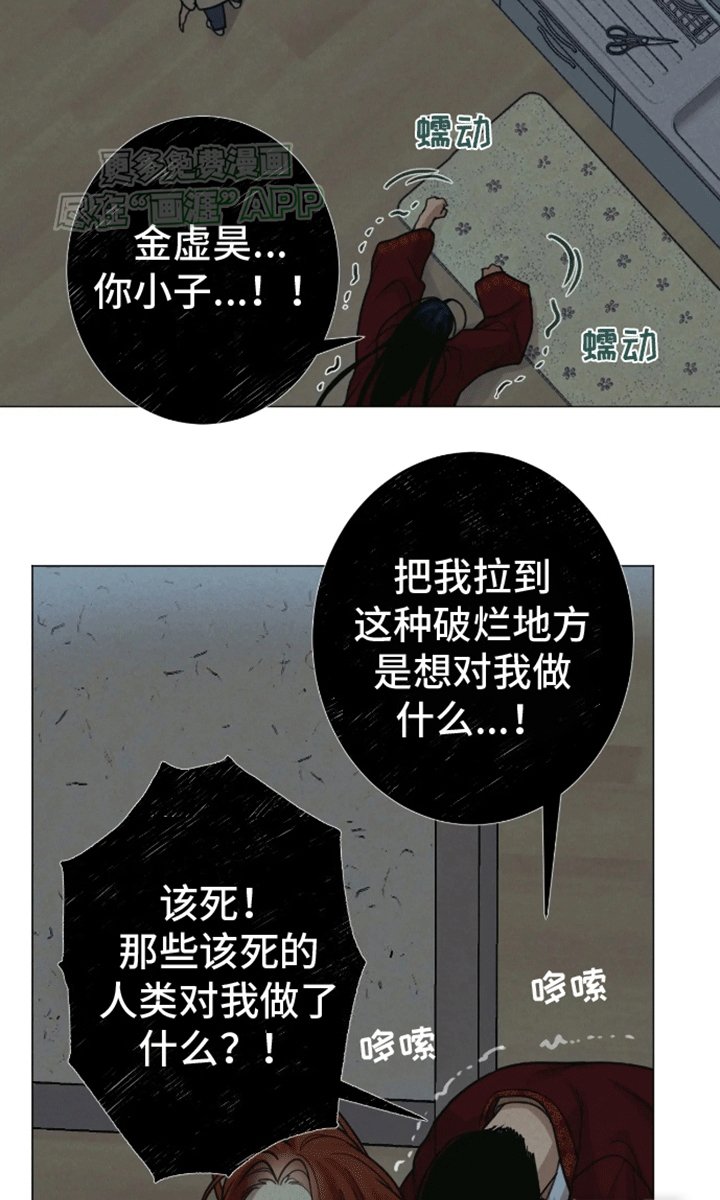 第13章：带回家