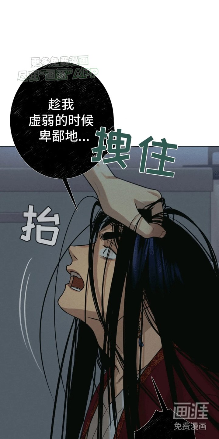 第14章：伴侣