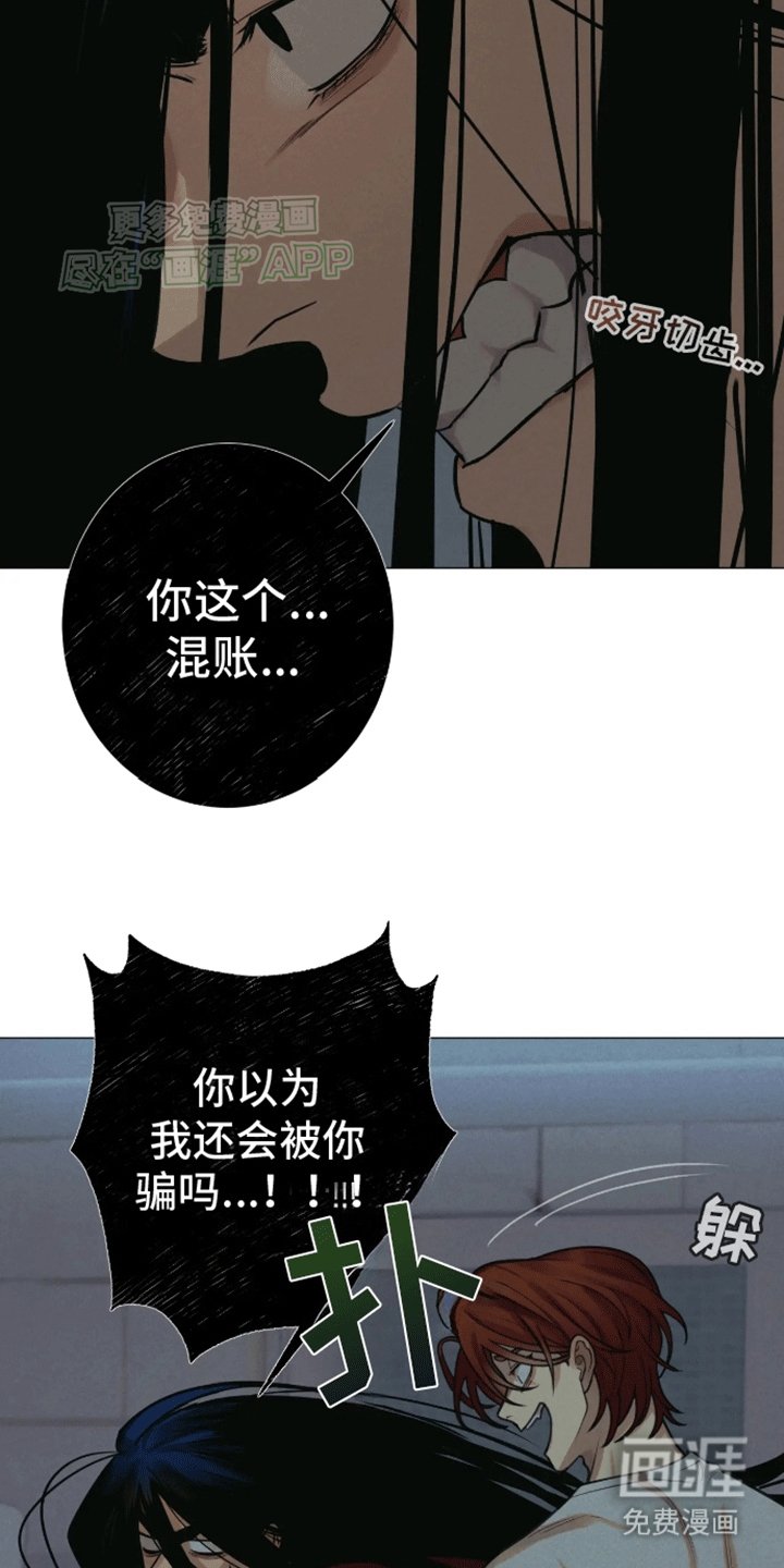 第14章：伴侣