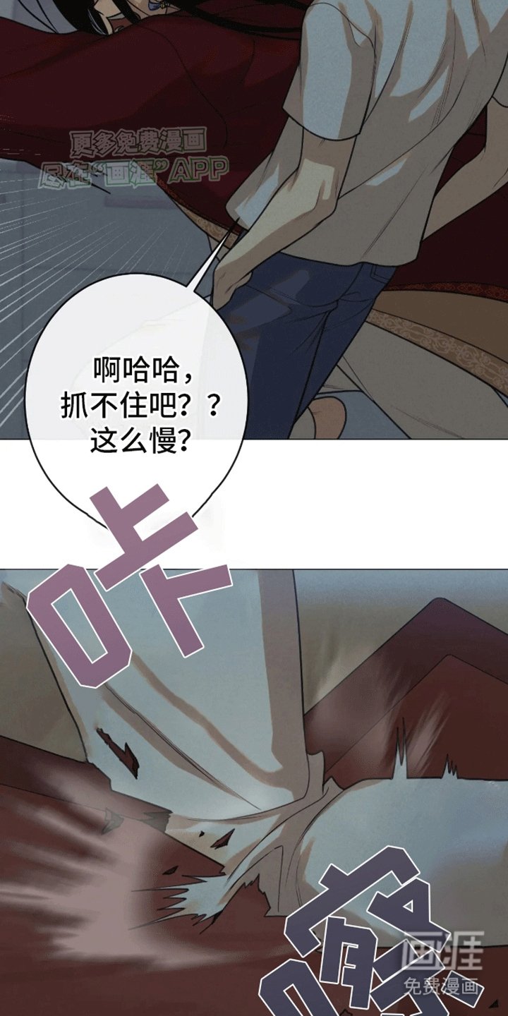 第14章：伴侣