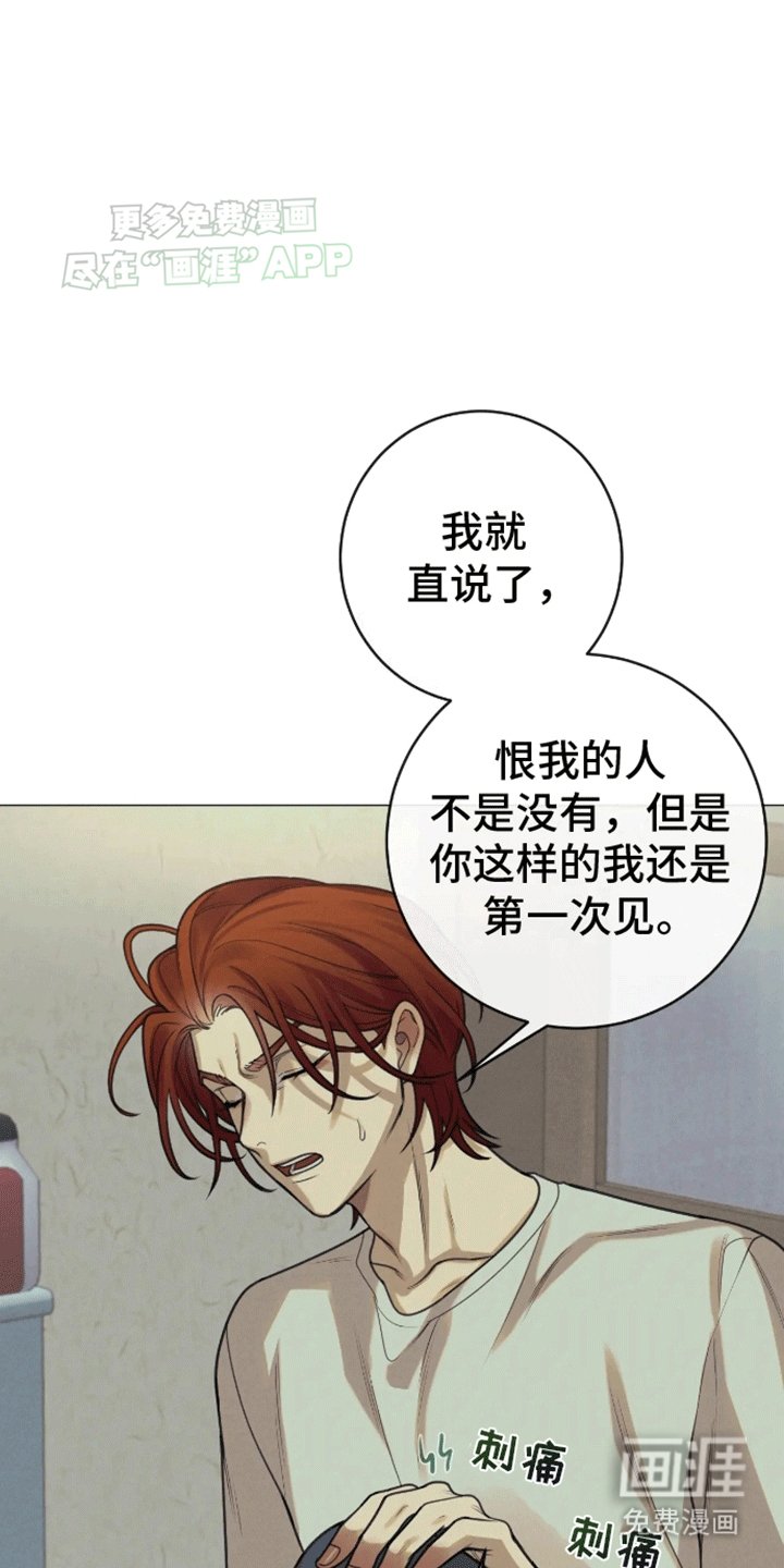 第14章：伴侣