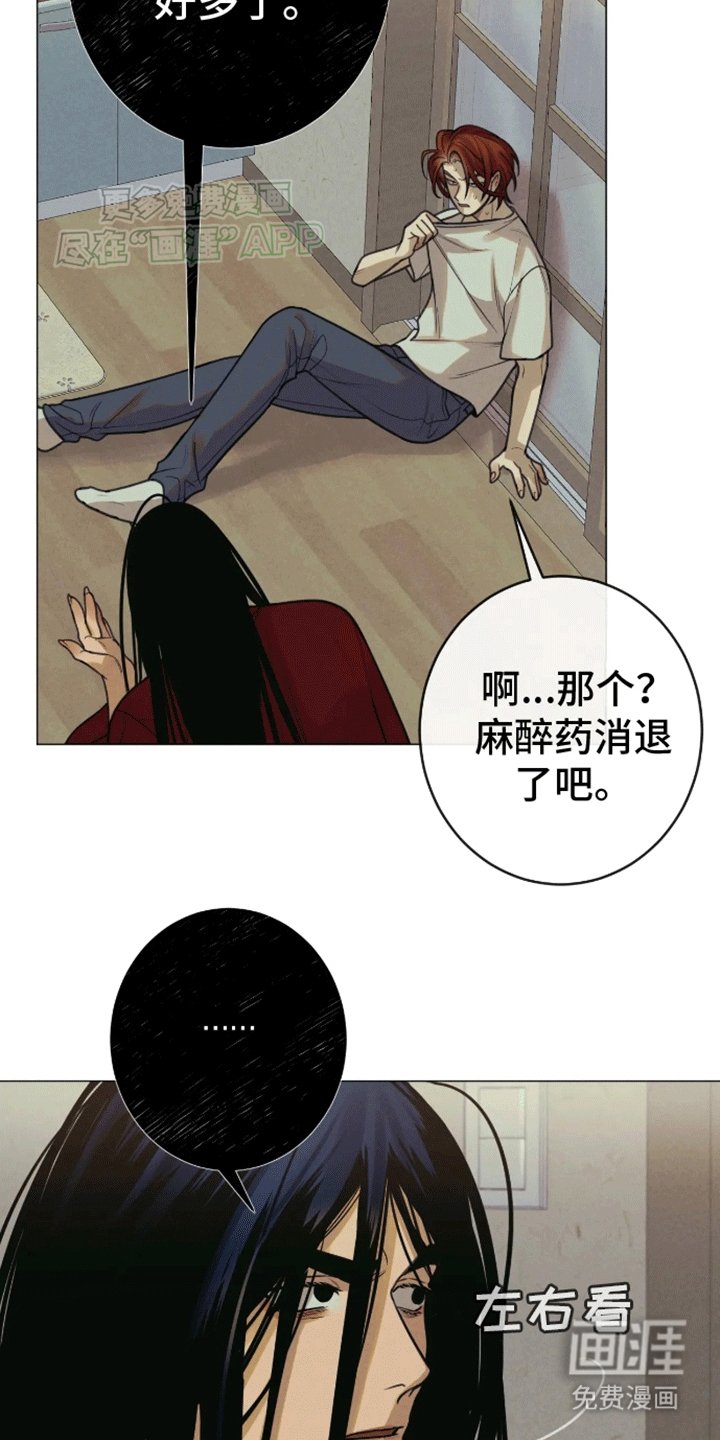 第14章：伴侣