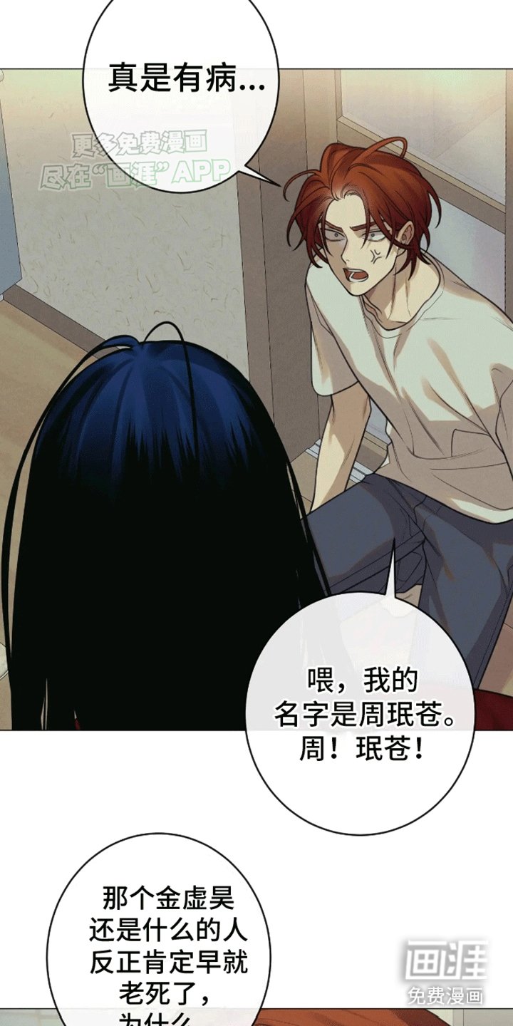 第14章：伴侣