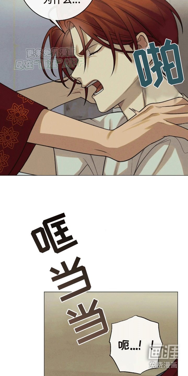 第14章：伴侣