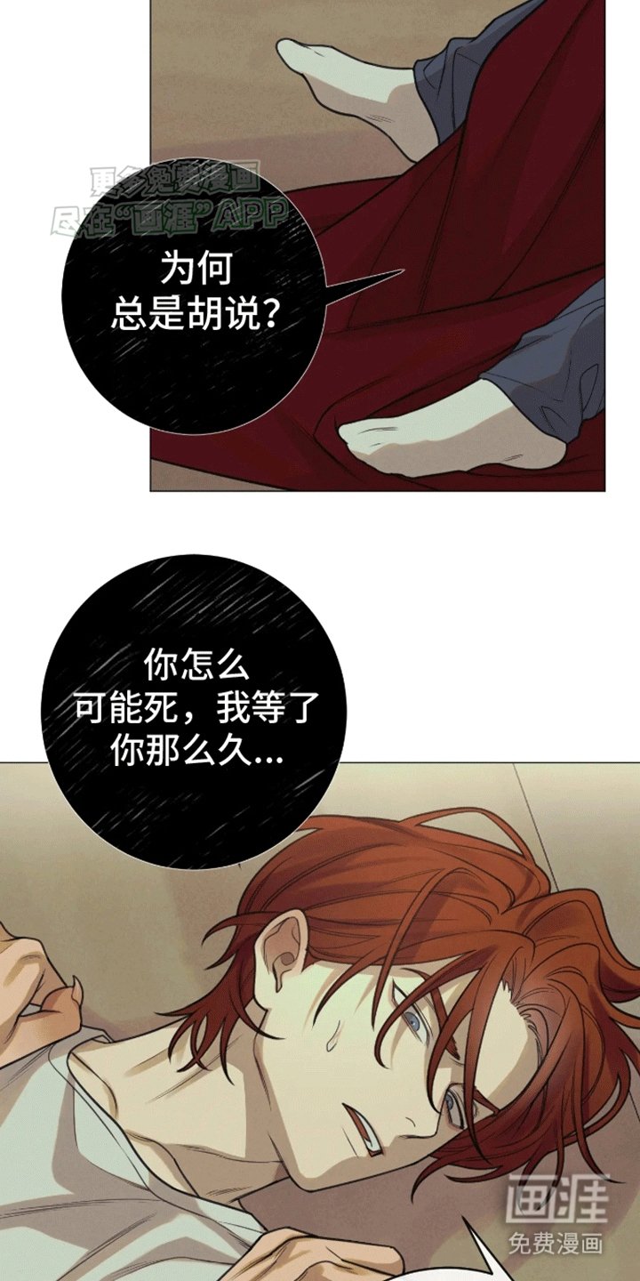 第14章：伴侣