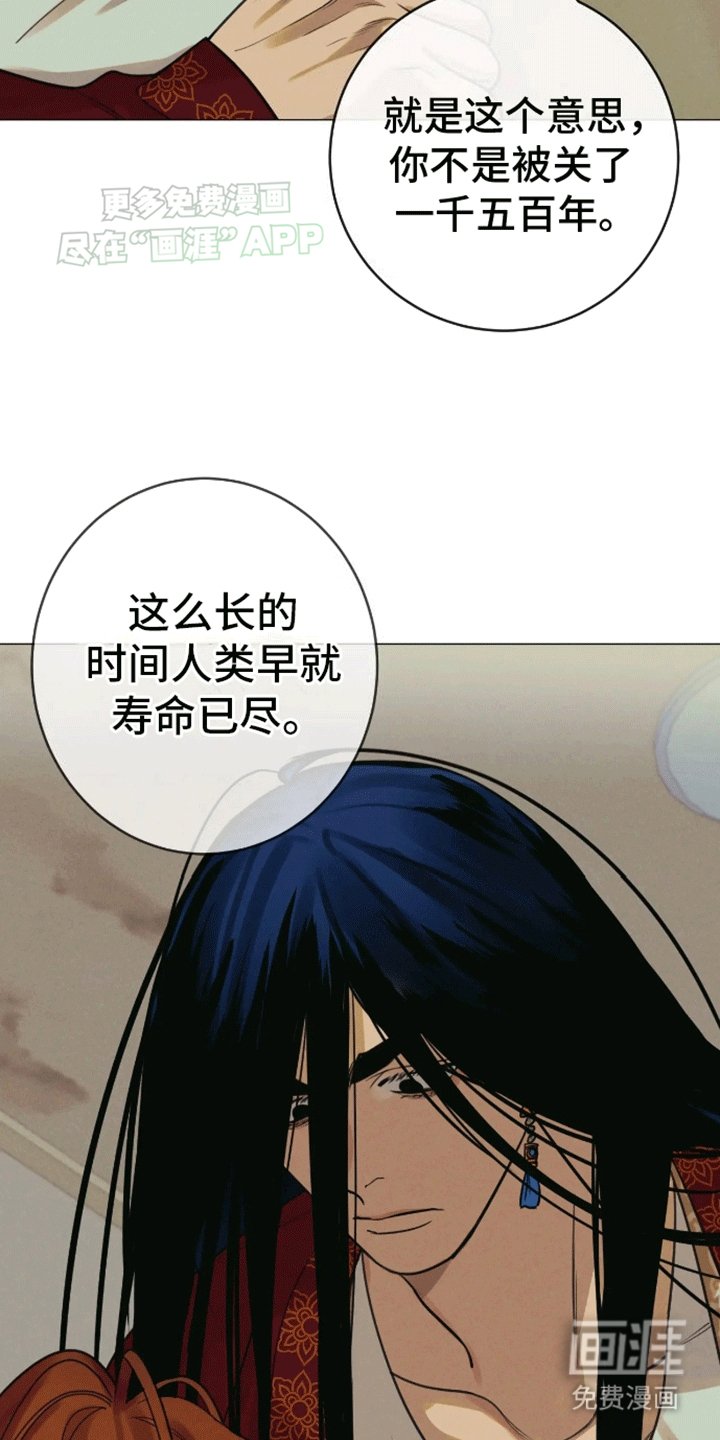 第14章：伴侣
