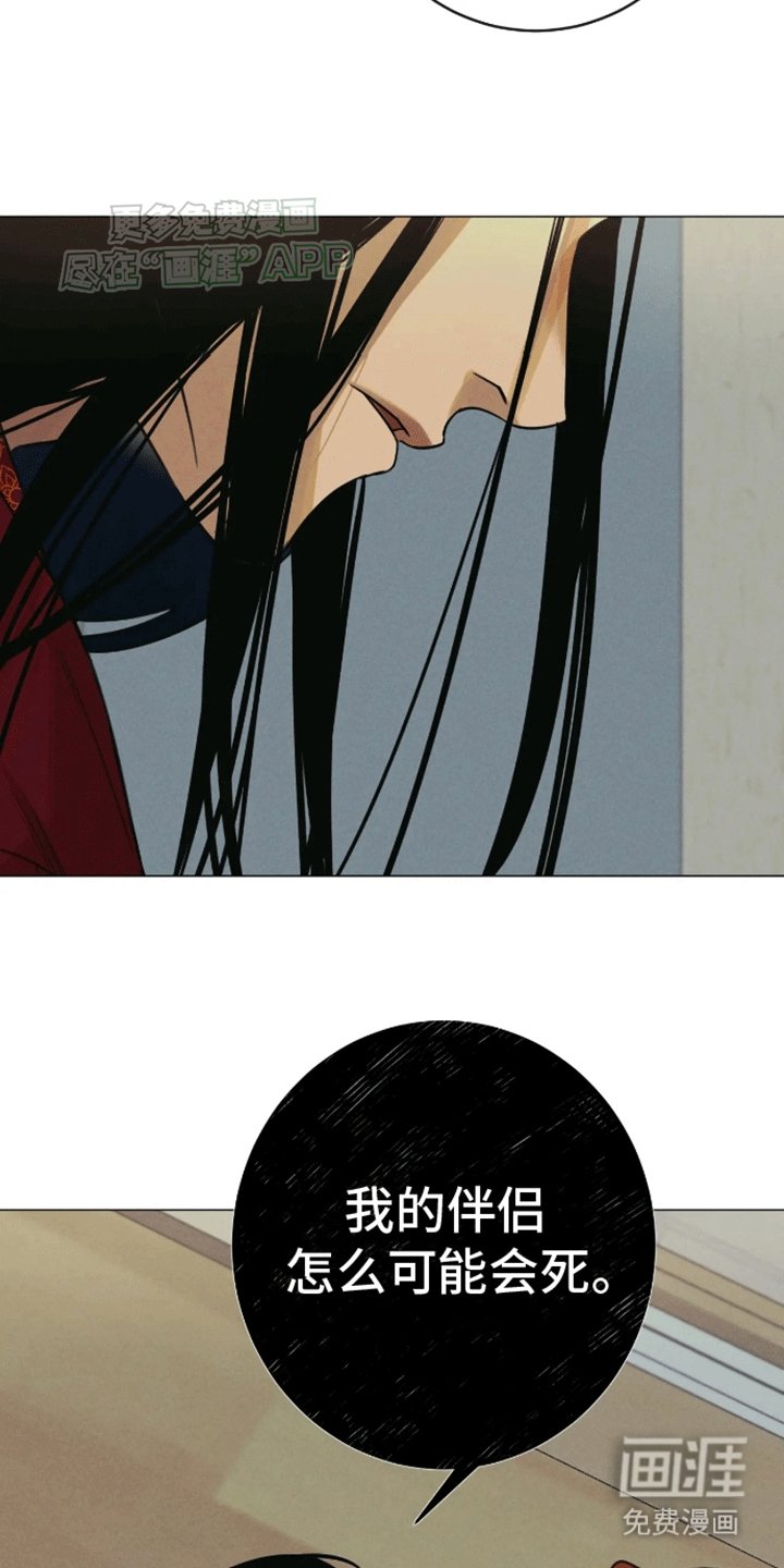 第14章：伴侣