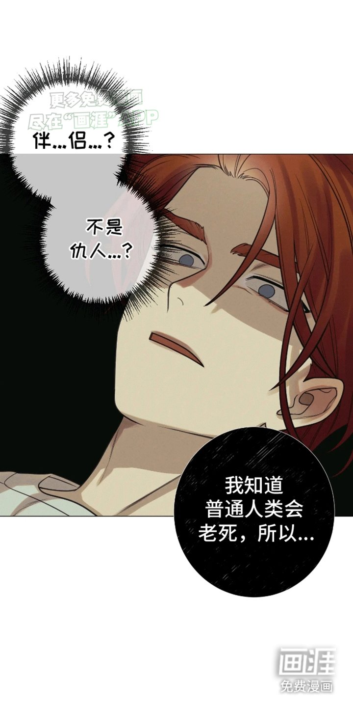 第14章：伴侣
