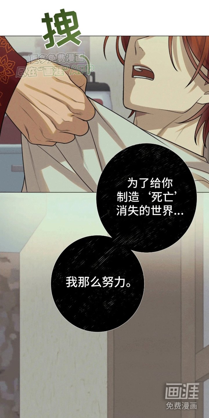 第14章：伴侣