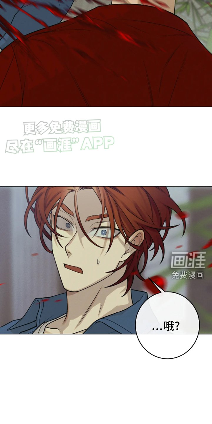 第17章：察觉