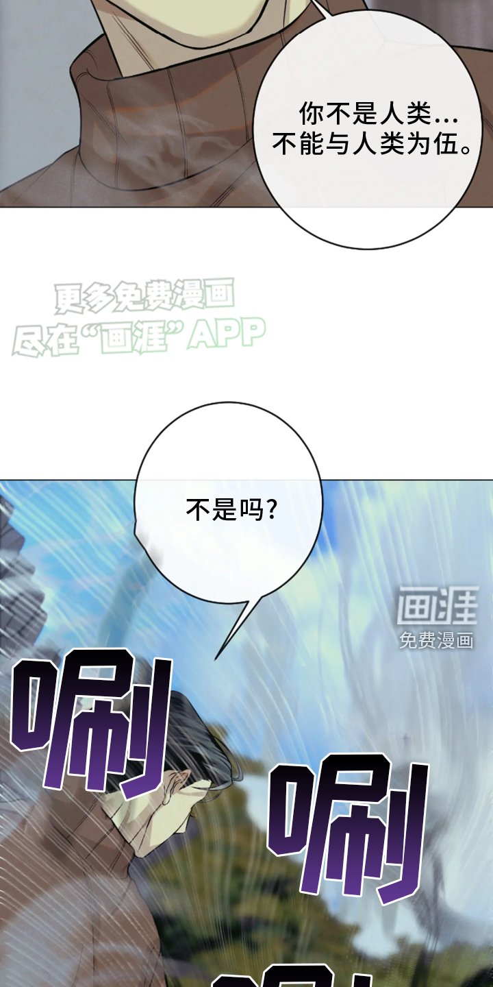 第17章：察觉