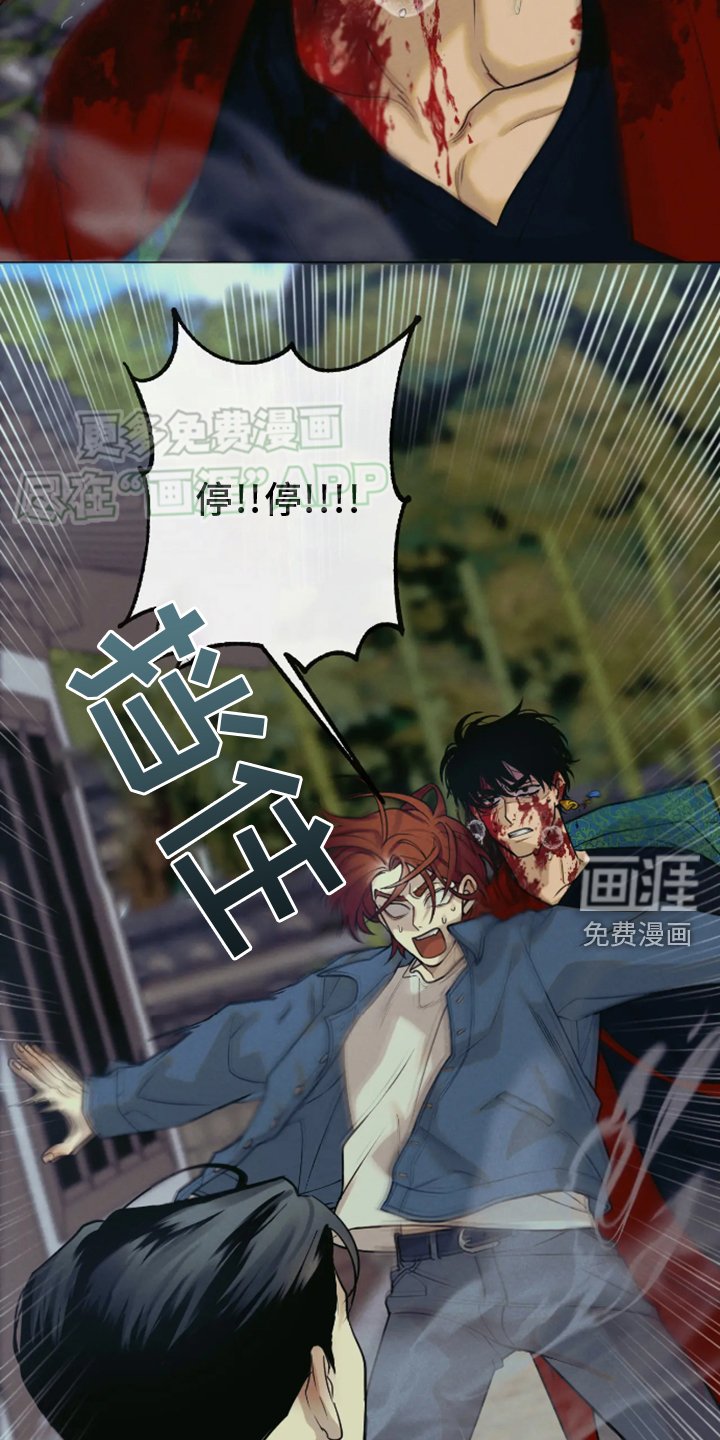 第17章：察觉